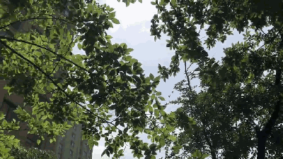 bifa必发陶瓷